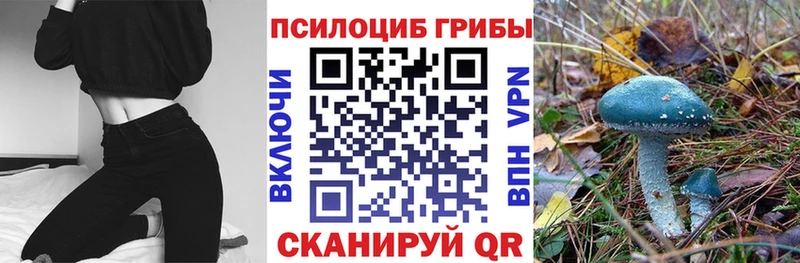 Псилоцибиновые грибы GOLDEN TEACHER Новодвинск
